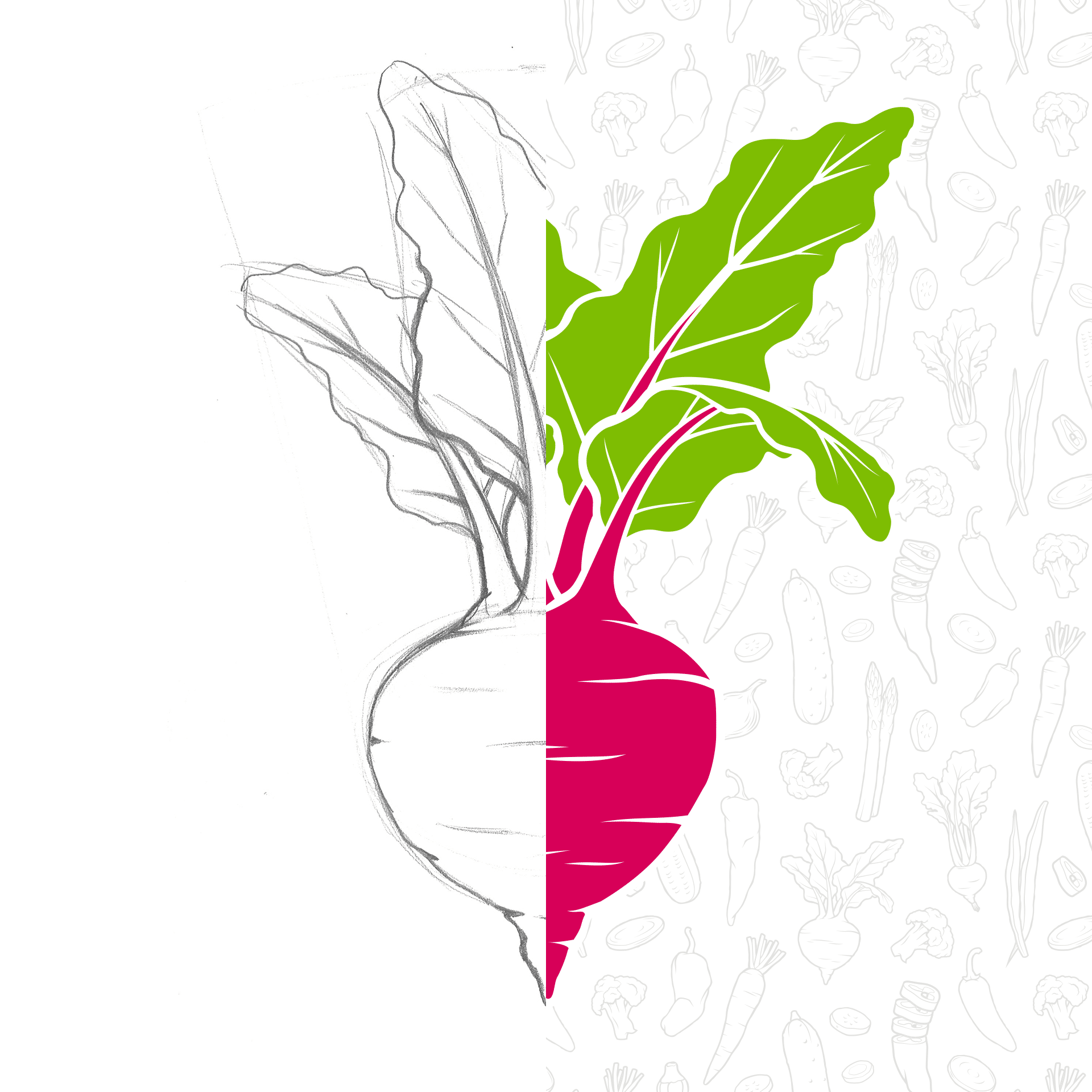 Safie Foods beet illustration